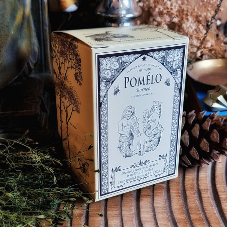 Pomélo Bornéo, thé noir sachets individuels