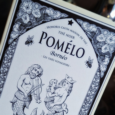 Pomélo Bornéo, thé noir sachets individuels