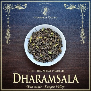 Dharamsala, thé noir Kangra valley